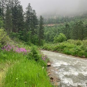 Meet your Posher, Lainie